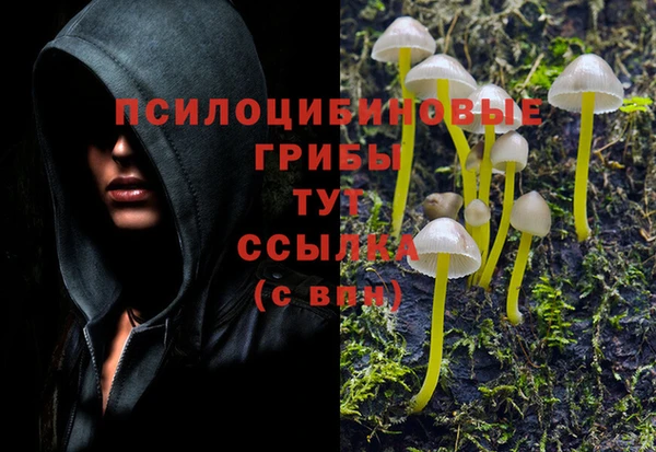 экстази Абаза