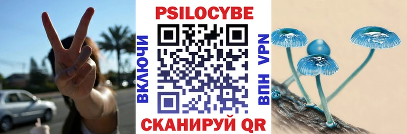 Галлюциногенные грибы ЛСД  дарнет шоп  Иланский 